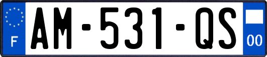 AM-531-QS