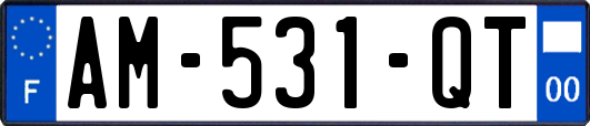 AM-531-QT