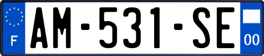 AM-531-SE