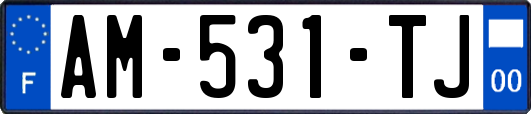 AM-531-TJ