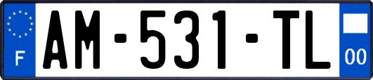 AM-531-TL