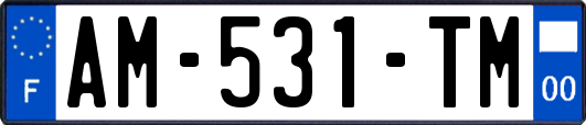 AM-531-TM