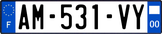 AM-531-VY