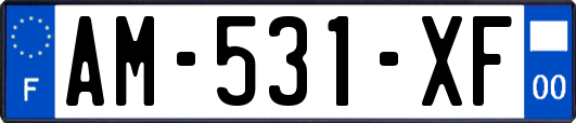 AM-531-XF