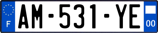 AM-531-YE