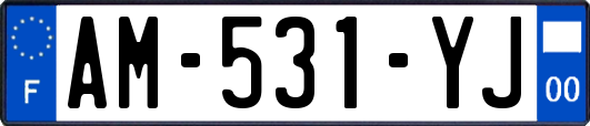 AM-531-YJ