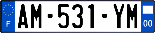 AM-531-YM