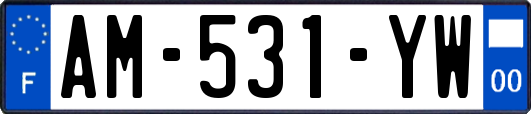AM-531-YW