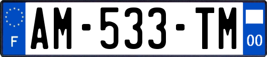 AM-533-TM