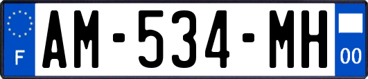AM-534-MH