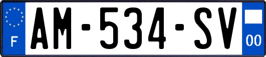 AM-534-SV