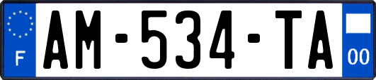 AM-534-TA