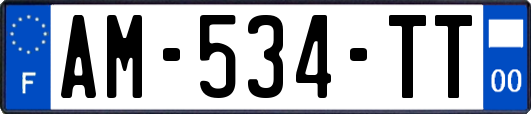 AM-534-TT