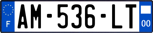 AM-536-LT