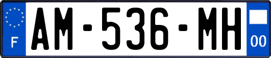 AM-536-MH