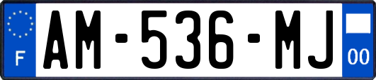 AM-536-MJ