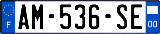 AM-536-SE
