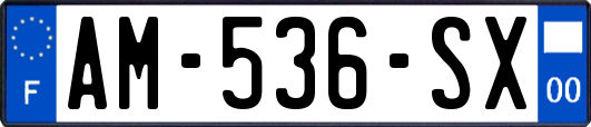 AM-536-SX