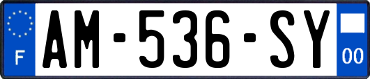 AM-536-SY