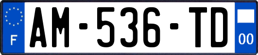 AM-536-TD