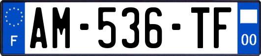 AM-536-TF