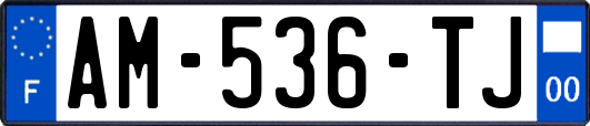 AM-536-TJ