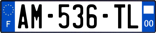 AM-536-TL