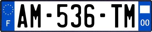 AM-536-TM