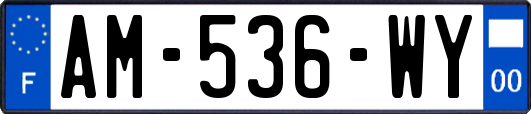 AM-536-WY