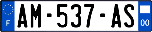 AM-537-AS