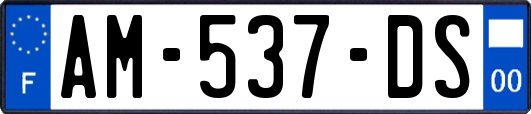 AM-537-DS