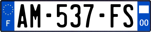 AM-537-FS