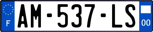 AM-537-LS