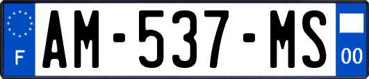 AM-537-MS