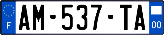 AM-537-TA