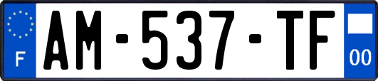 AM-537-TF