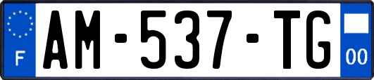 AM-537-TG