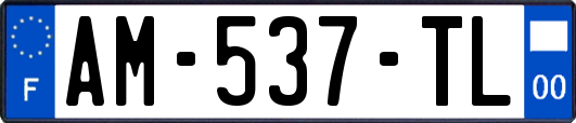 AM-537-TL