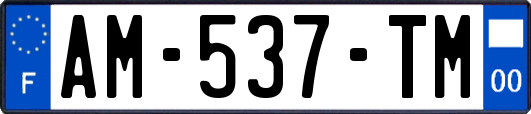 AM-537-TM