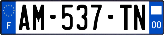 AM-537-TN