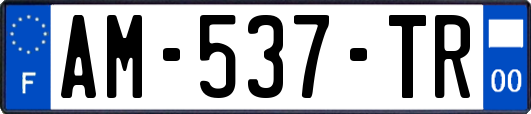 AM-537-TR