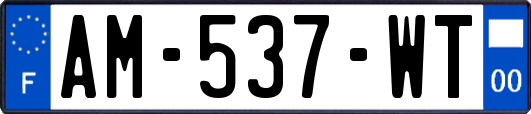 AM-537-WT