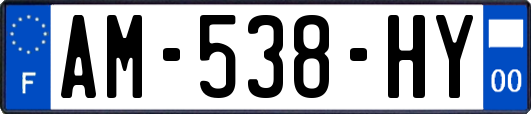 AM-538-HY