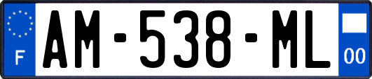 AM-538-ML