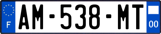 AM-538-MT