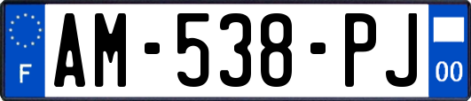 AM-538-PJ