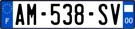 AM-538-SV