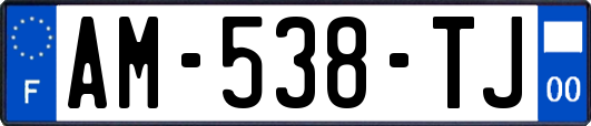 AM-538-TJ