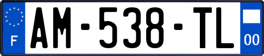 AM-538-TL