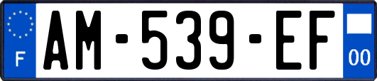 AM-539-EF